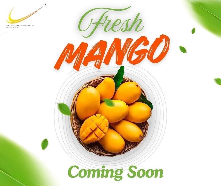 Fresh Mango Coming Soon